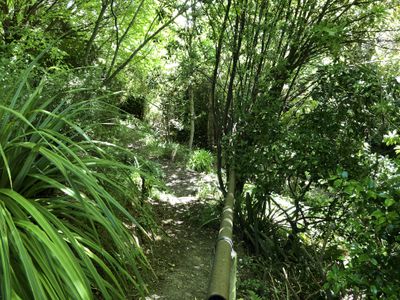 59 and 61 Wilson Road, Balclutha