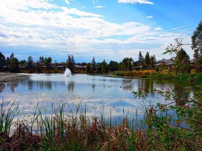 1 / 139 Lakeview Drive, Cranebrook