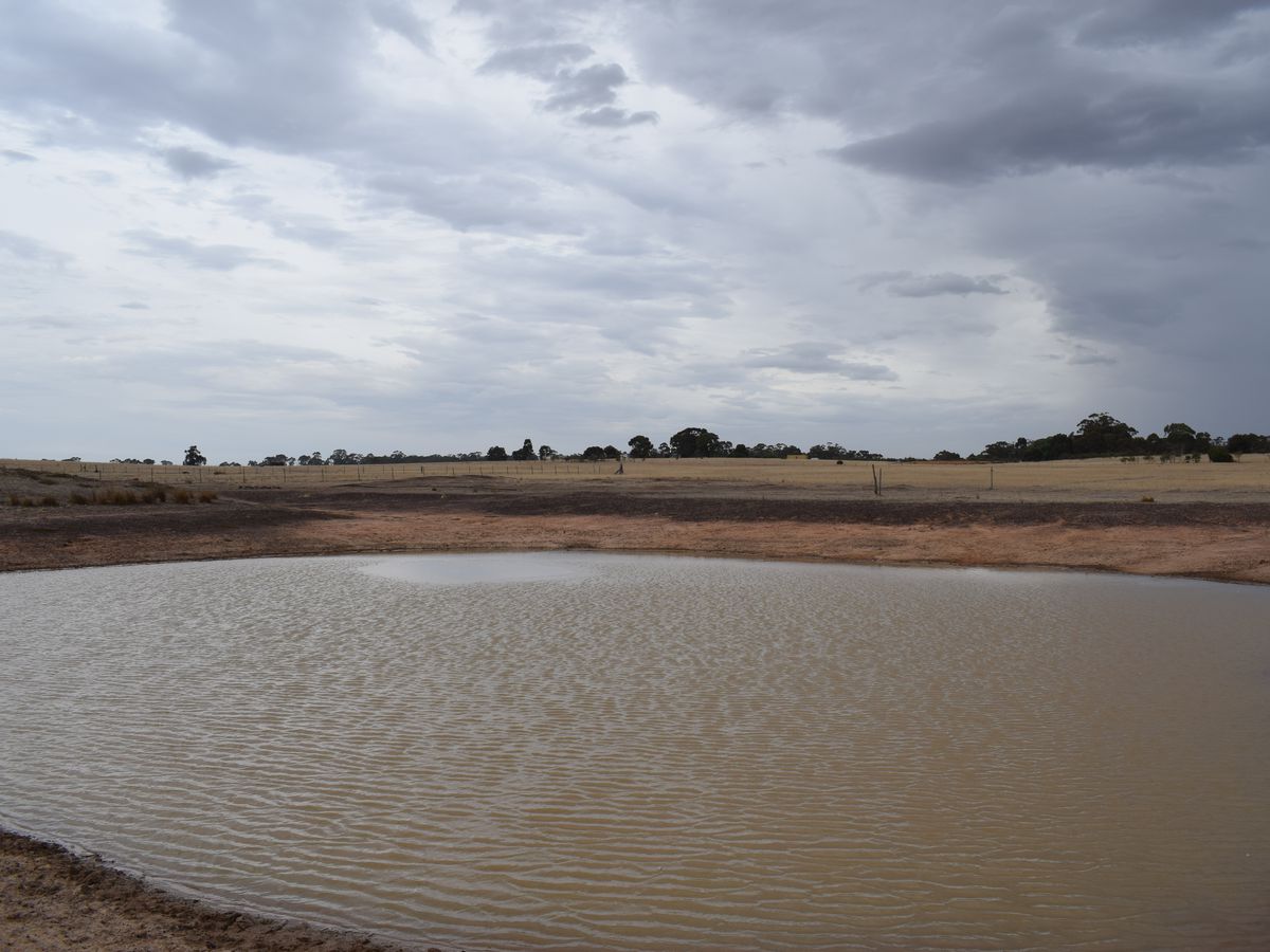 Lot 43, MCGUIRES ROAD, Bridgewater