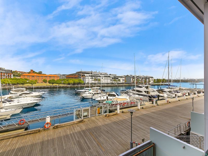 20 / 56 Pirrama Road, Pyrmont