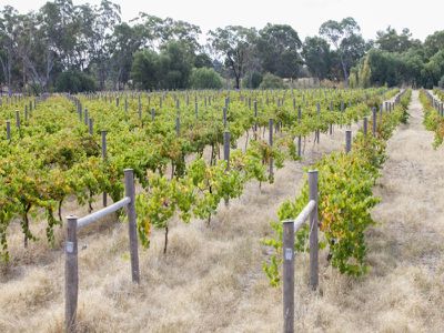 38 McCrackens Road, Locksley