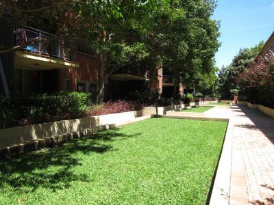 42 / 1 Shirley Street, Alexandria