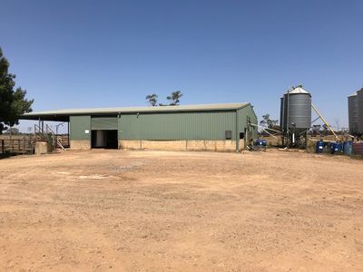 877 Echuca-Nanneella Road, Nanneella