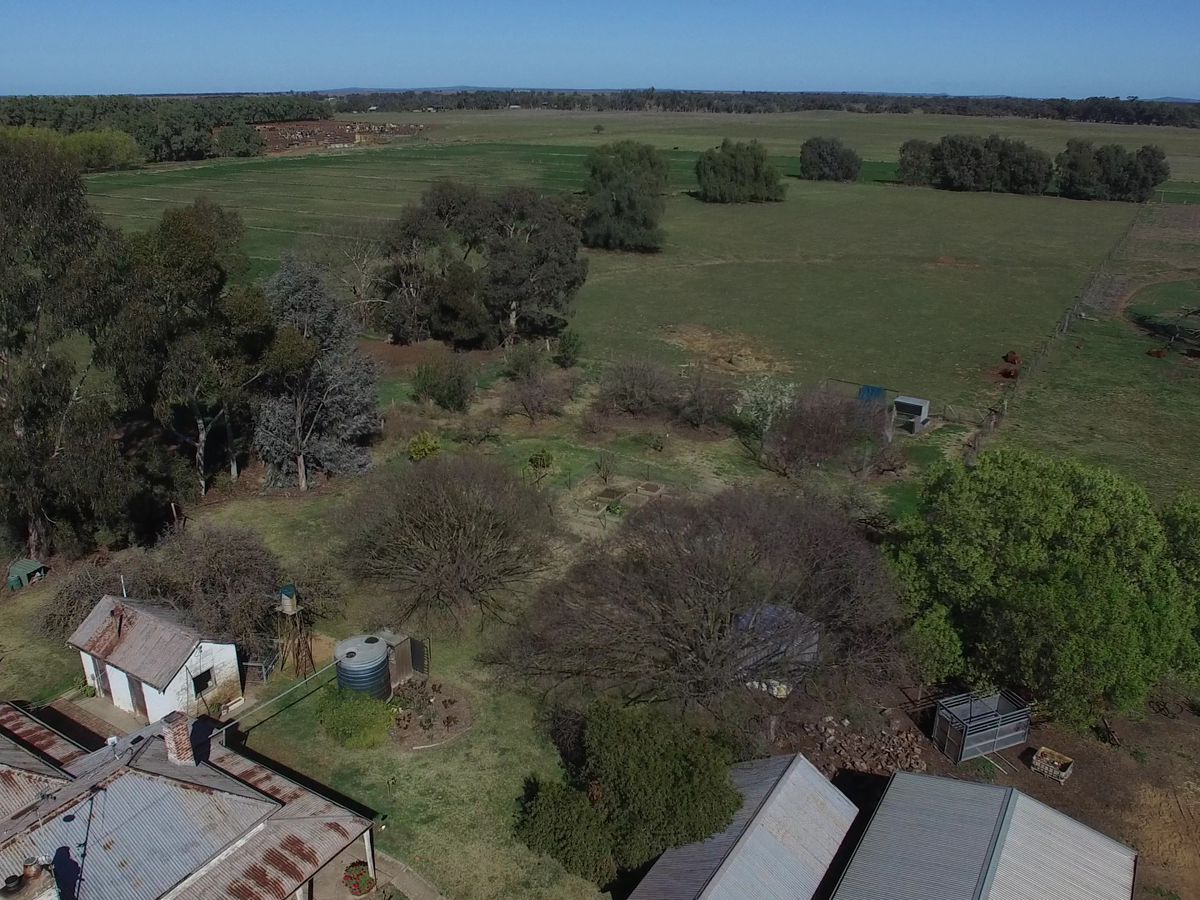 211 Torrumbarry Weir Road, Patho