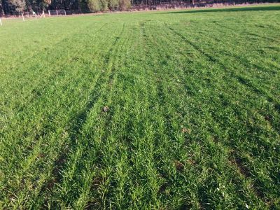 469 Bunganail Road, Nagambie