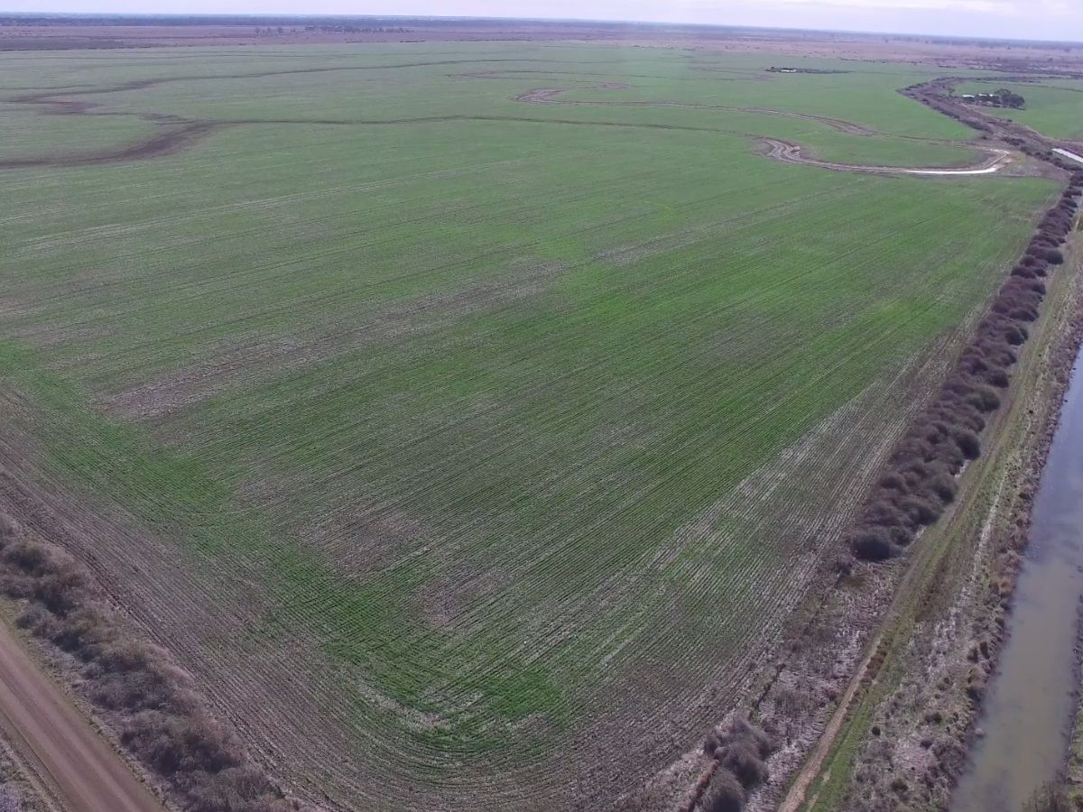 41-43A Canary Island South Road, Durham Ox