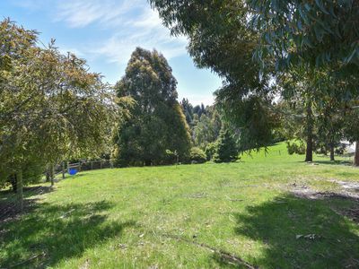 82 Scurr Road, Scroggs Hill