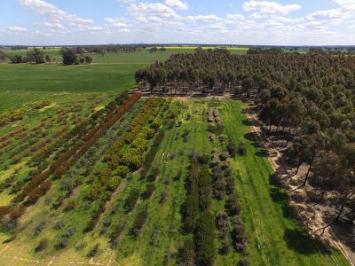 469 Bunganail Road, Nagambie