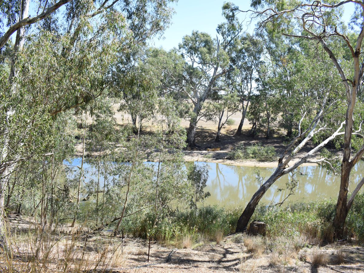 3381 Bridgewater-Maldon Road, Newbridge