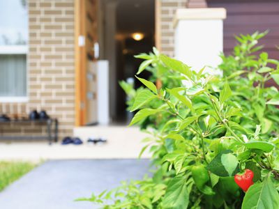 48 Wildflower Circle, Jordan Springs