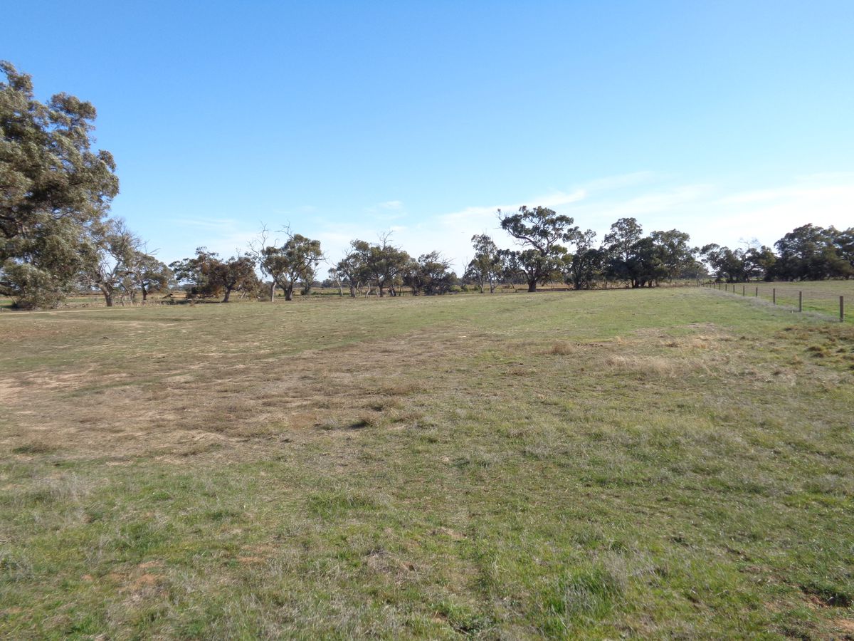 211 Torrumbarry Weir Road, Patho