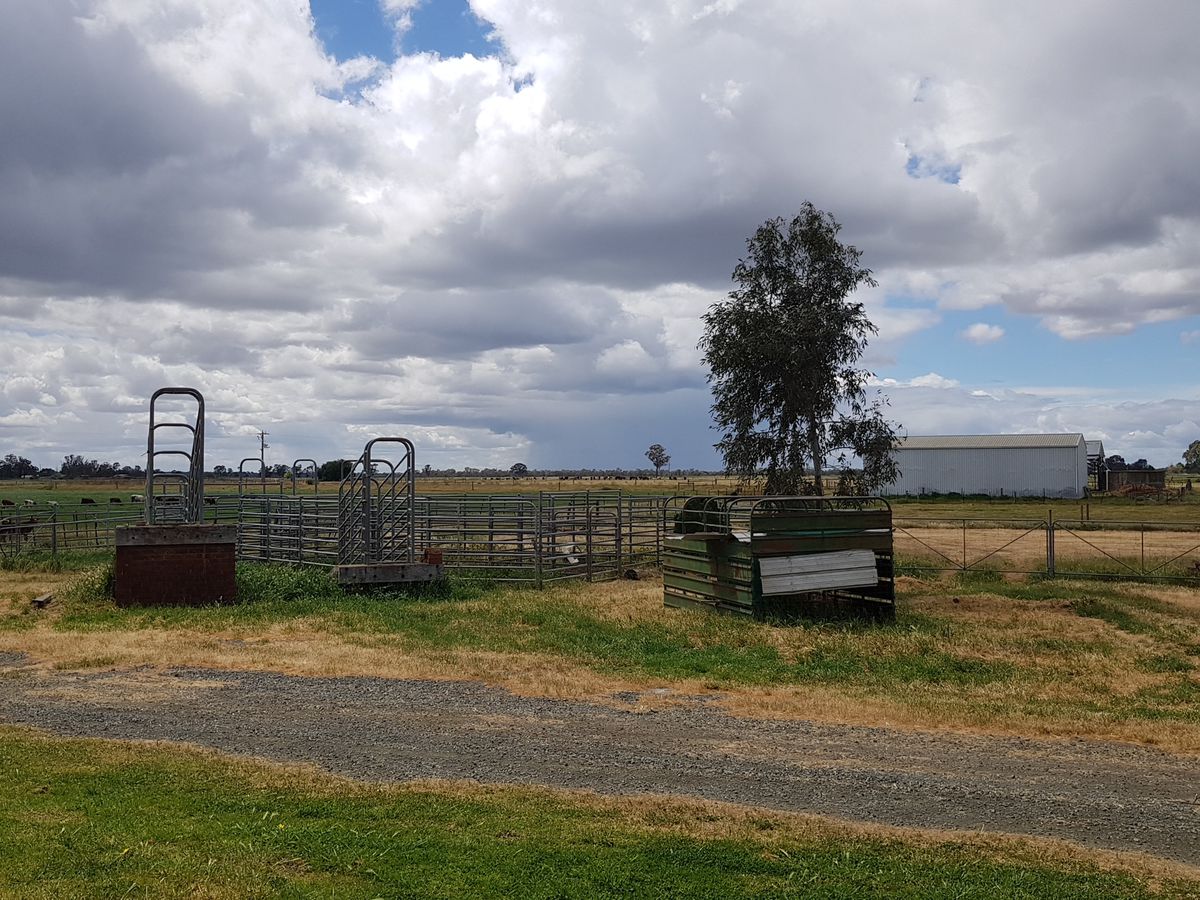 1336 Scobie Road, Tongala