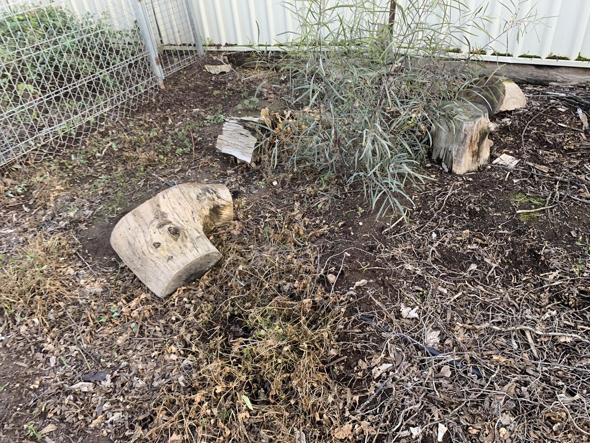 53 Edward Street, Rochester