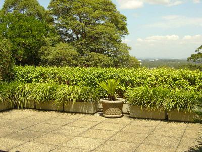 2 / 562 Pacific Highway, Killara