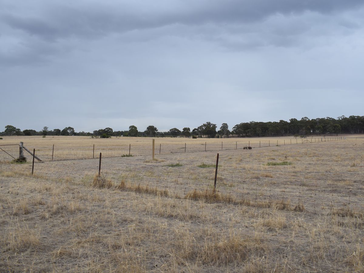 Lot 43, MCGUIRES ROAD, Bridgewater