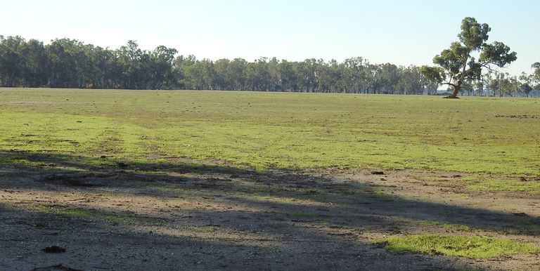 Shepparton-Violet Town Road, Tam... Shepparton-Violet Town Road, Tam...