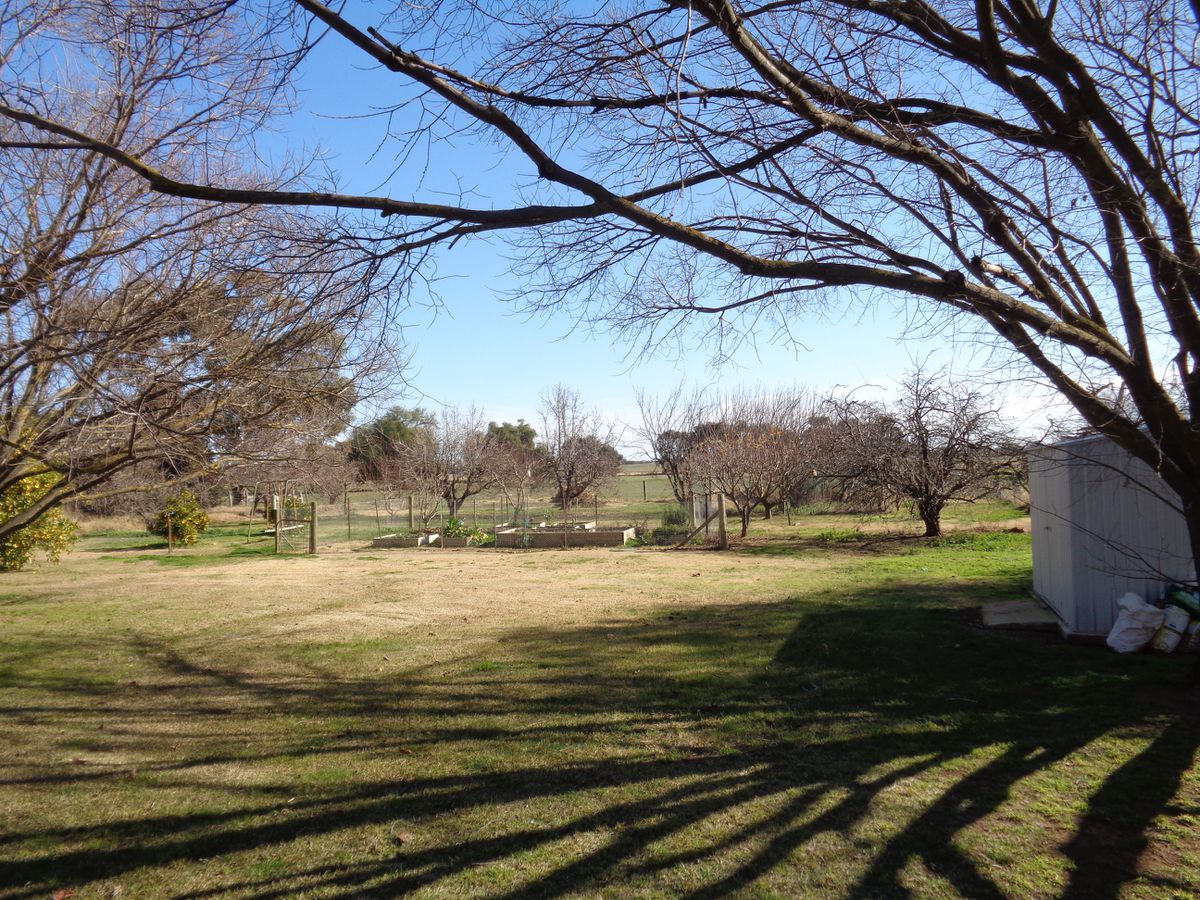 211 Torrumbarry Weir Road, Patho