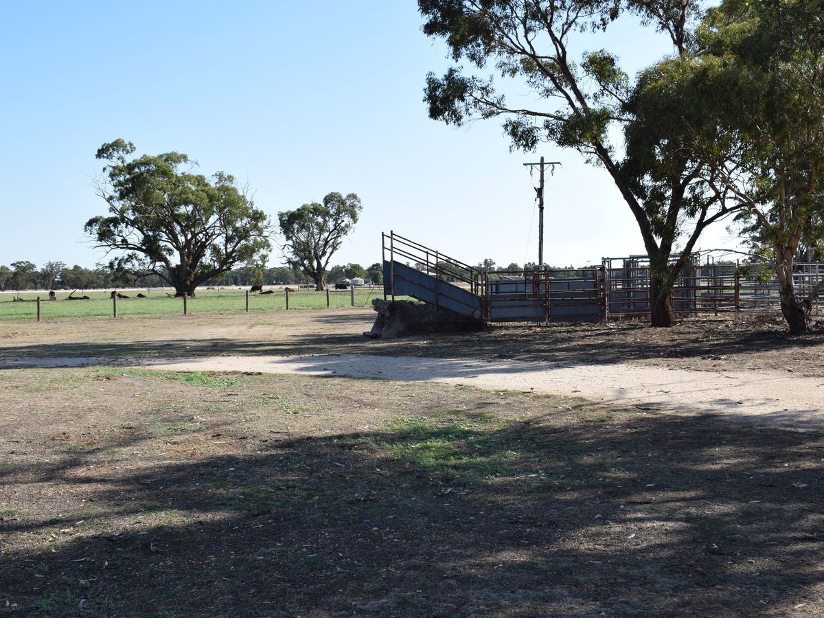 CA 5 BRIDGEWATER-DUNOLLY ROAD, Bridgewater