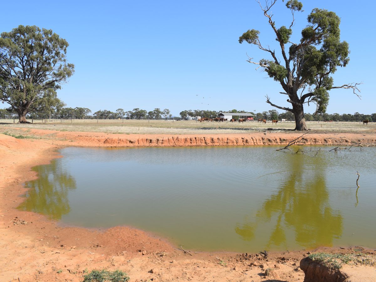 CA 5 BRIDGEWATER-DUNOLLY ROAD, Bridgewater