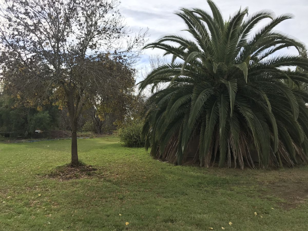 1067 Hansen Road, Bamawm