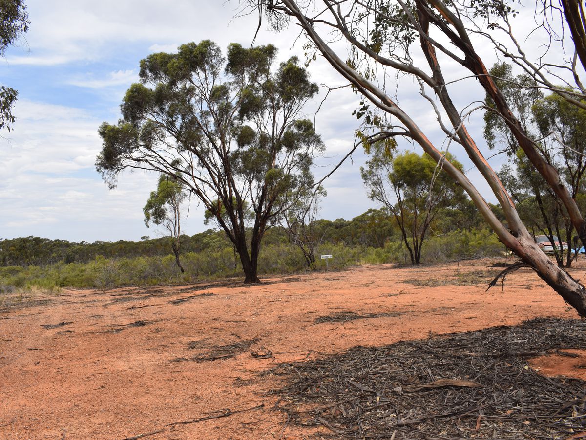 Inglewood-Salisbury Road, Inglewood