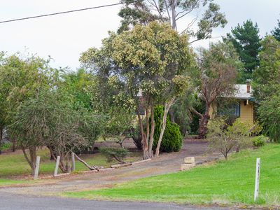 549 Mount Burr Road, Millicent 549 Mount Burr Road, Millicent