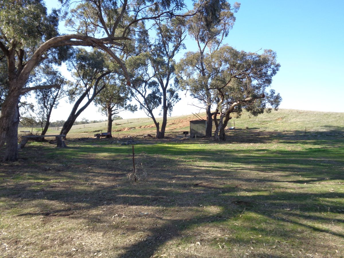 211 Torrumbarry Weir Road, Patho