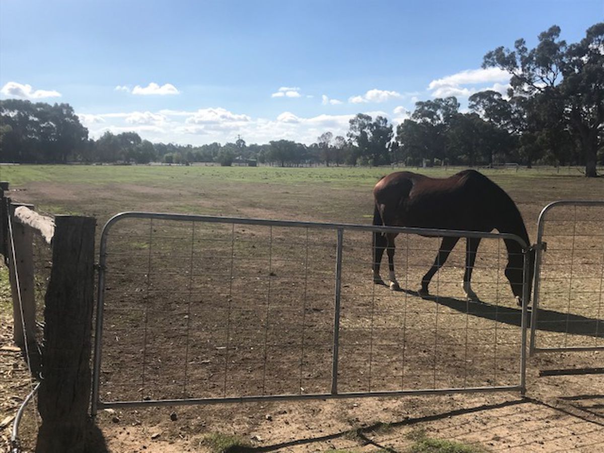 106 Bangerang Road, Echuca Village