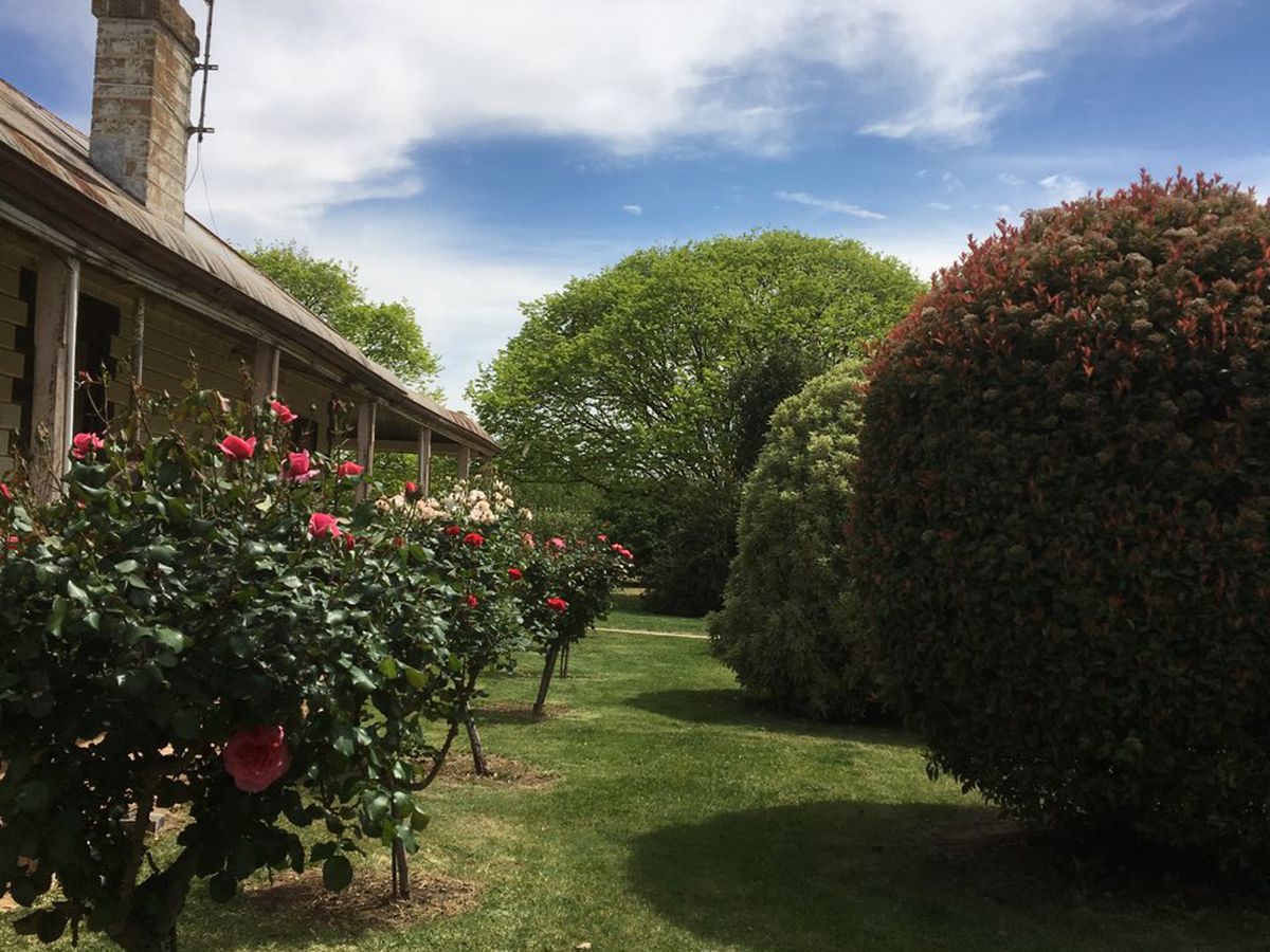 211 Torrumbarry Weir Road, Patho