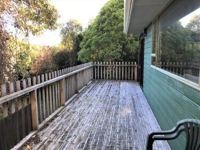 2483 Papatowai Highway, Owaka