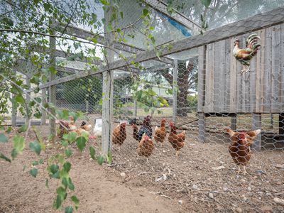 22 Heddle Road, Lancefield