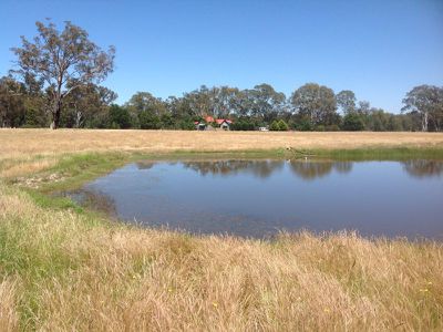 38 McCrackens Road, Locksley