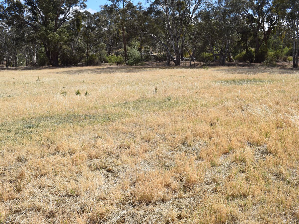 Lot CA 17, High Street, Wedderburn