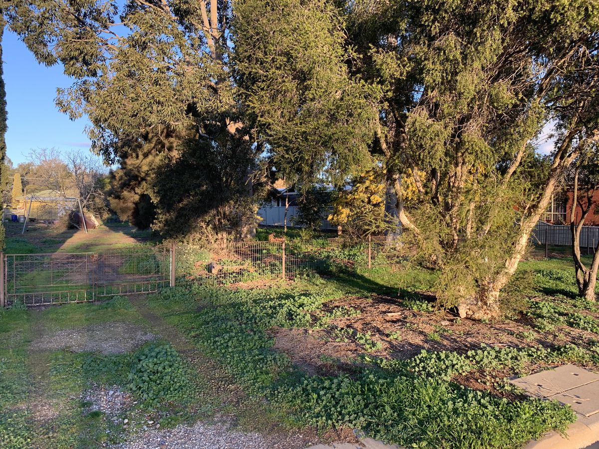 53 Edward Street, Rochester