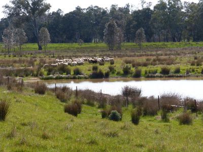 580 Northwood Road, Seymour