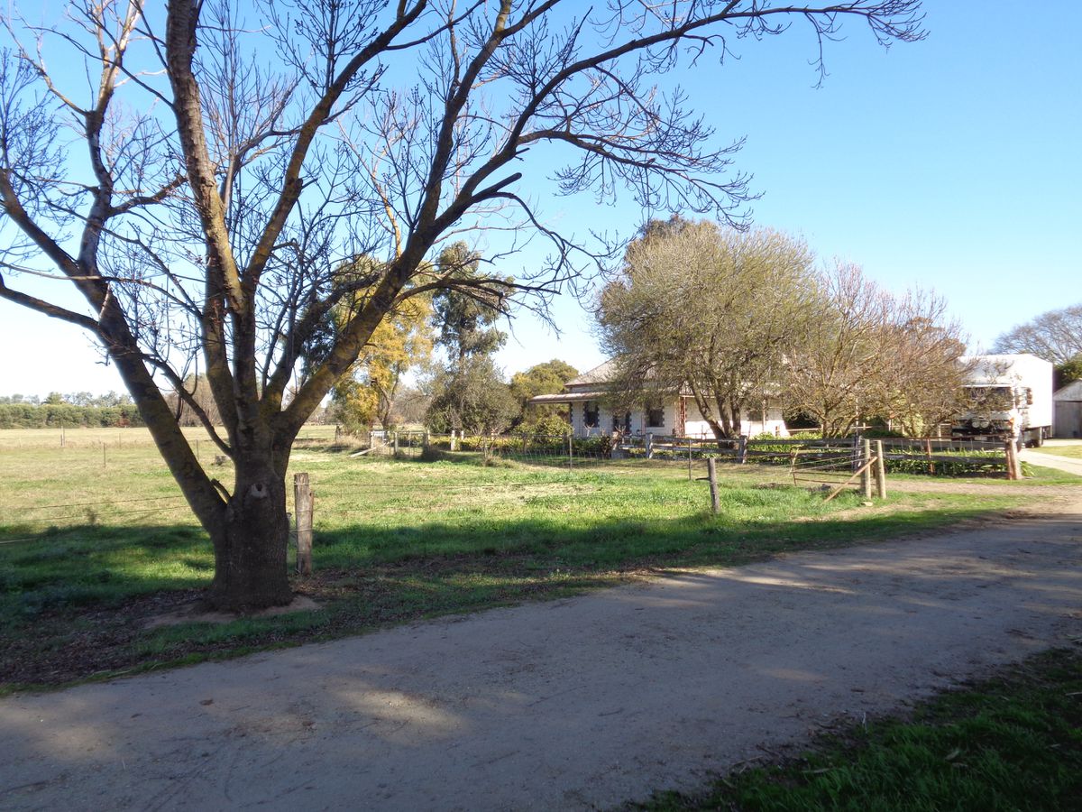 211 Torrumbarry Weir Road, Patho