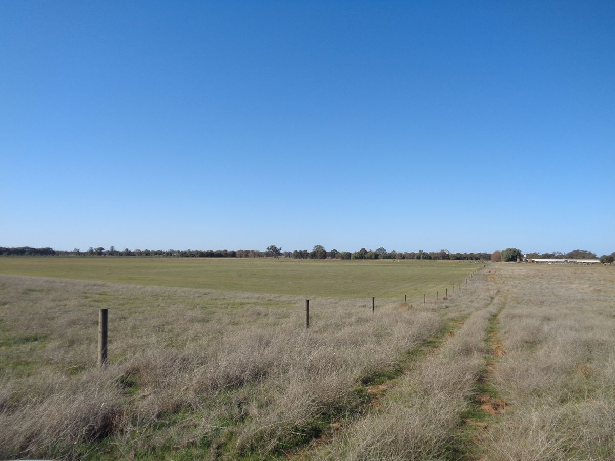 211 Torrumbarry Weir Road, Patho