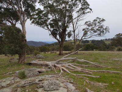 C.A.64 Landscape Road, Tallarook