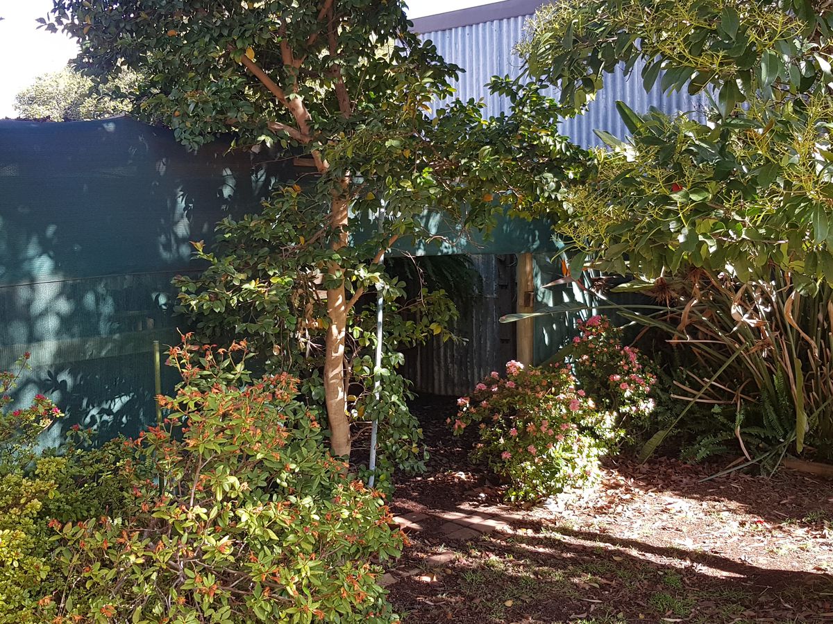 2 Edward St , Rochester