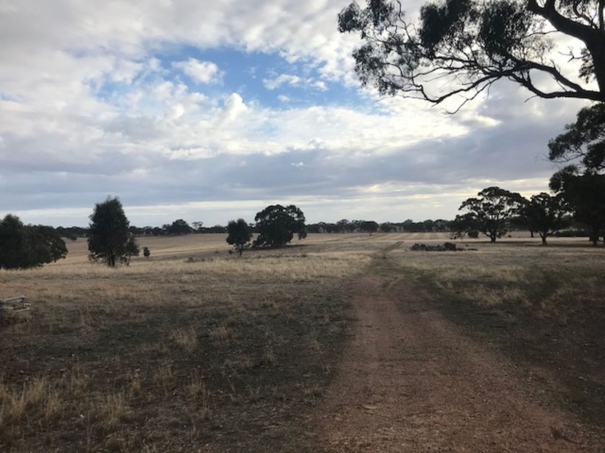 Cnr   Speers & Ryan Rd  , Corop