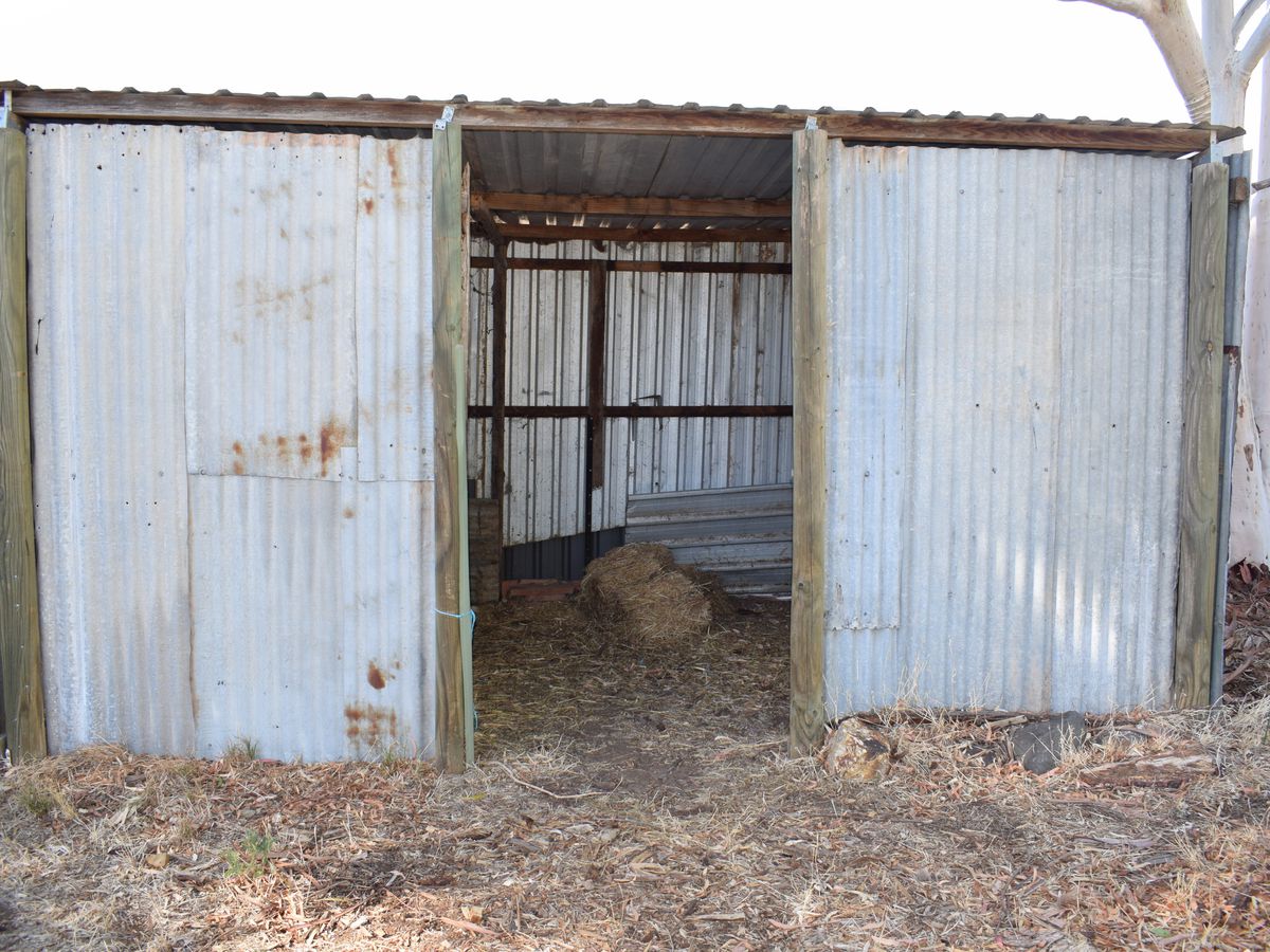 53 Sullivan Street, Inglewood