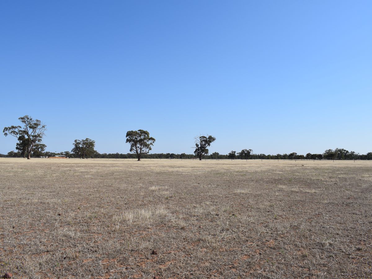 CA 5 BRIDGEWATER-DUNOLLY ROAD, Bridgewater
