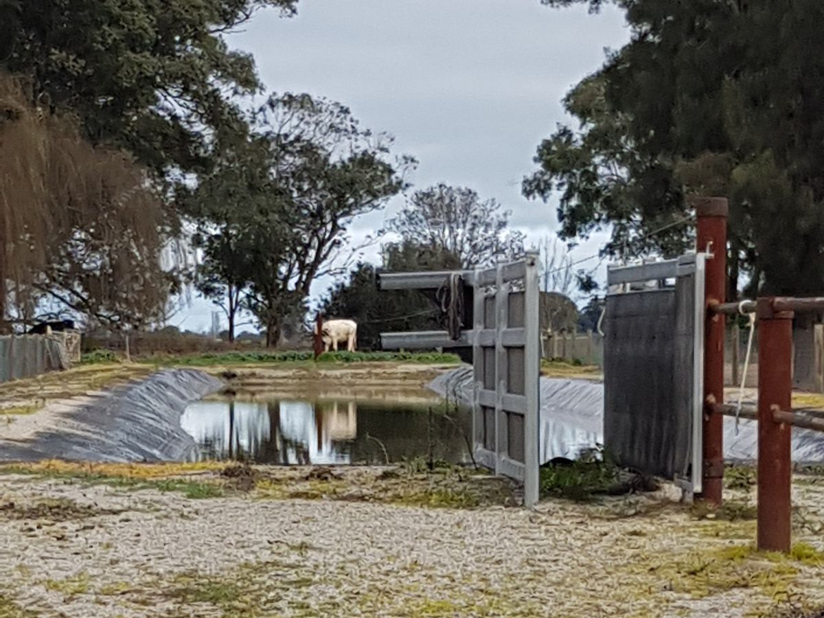 195 Gledhill Road, Ballendella