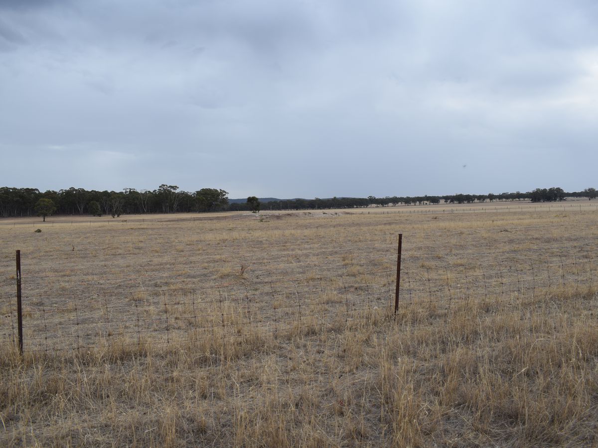 Lot 43, MCGUIRES ROAD, Bridgewater