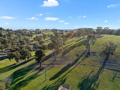 95 Daisyburn Road, Hilldene