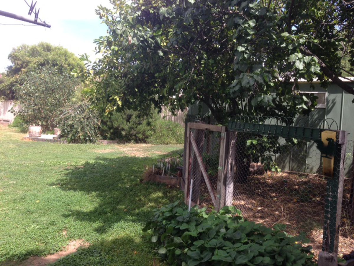 62 Echuca Road, Rochester