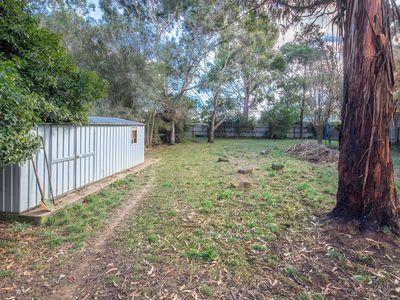 17 White Avenue, Romsey