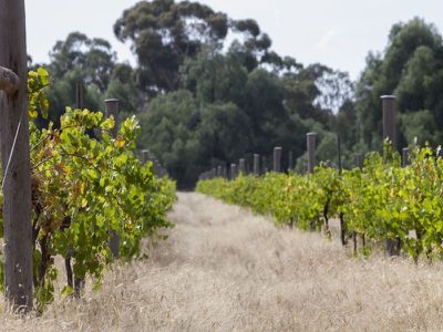 38 McCrackens Road, Locksley