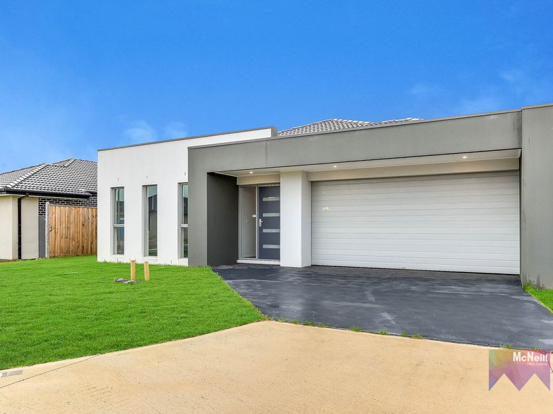 Real Estate Agent Mornington McNeill Real Estate Real Estate Agent Mornington McNeill Real Estate