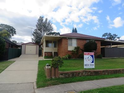 45 Banks Drive, St Clair